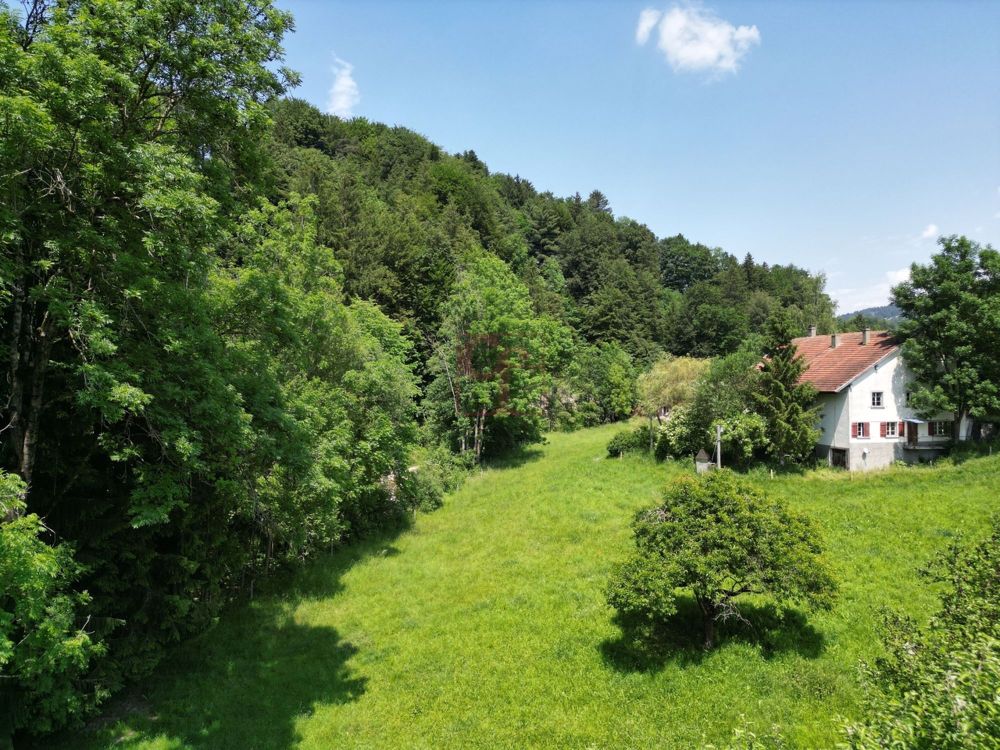 Die Roche - Mehr als 2 Villen verfügbar! - Emplacement du projet