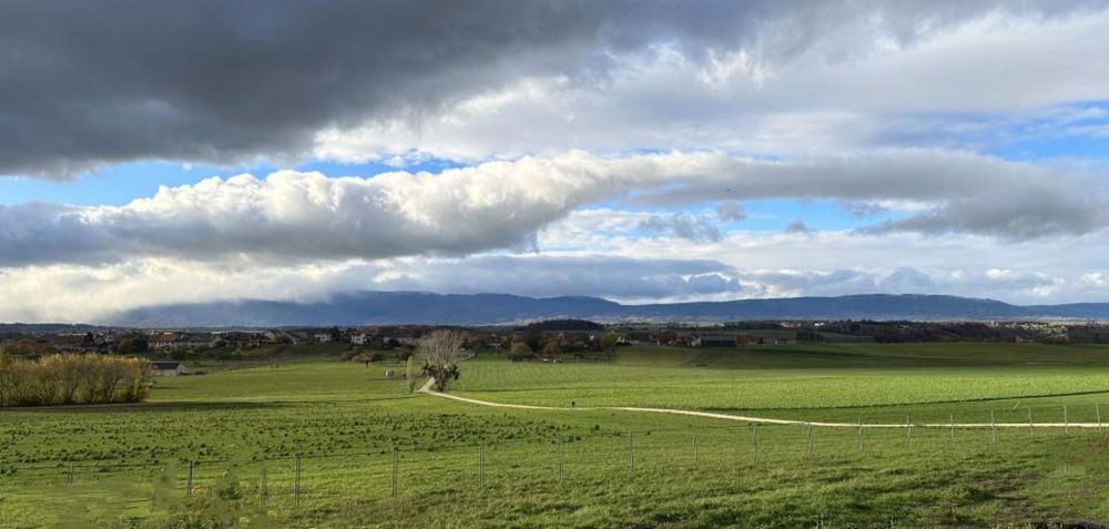 Appartement de charme avec terrasse, vue de carte postale. A 6 km de Crissier, 10 km de Lausanne-Centre - Chaque saison offre un paysage différent