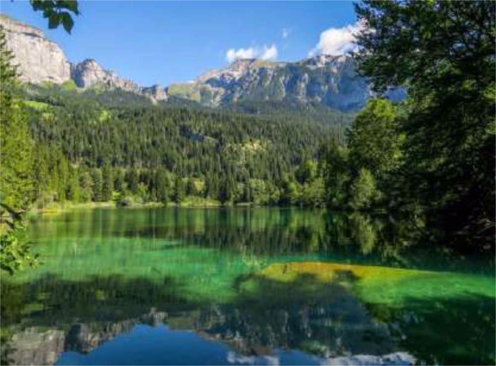 Drei Holz-Riegelbauhäuser stilvoll und elegant - Bild 3