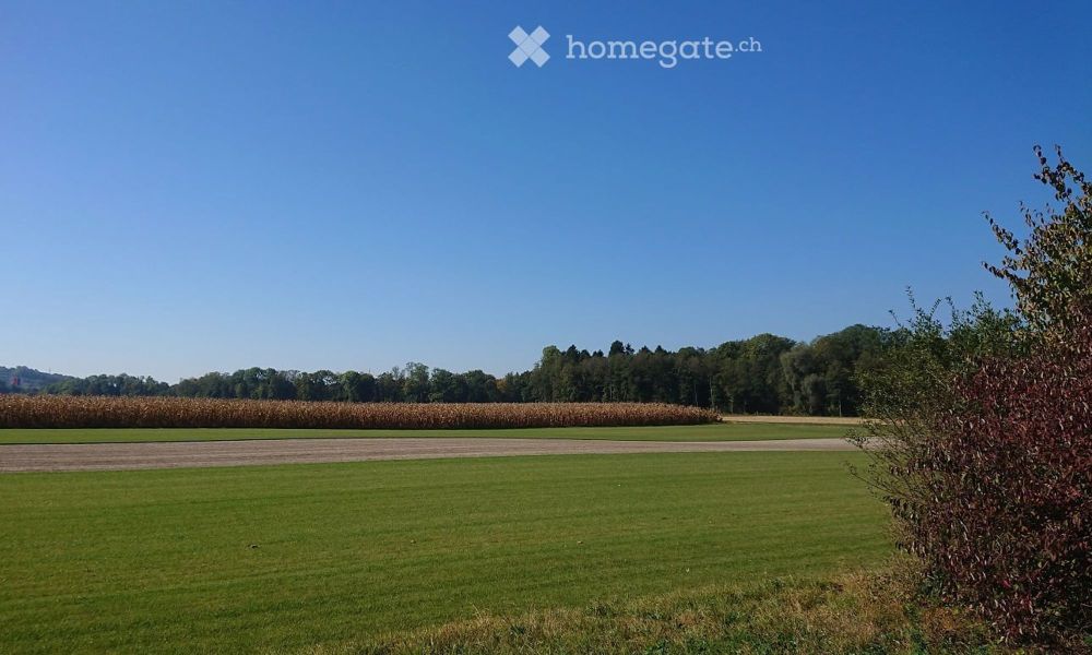 Moderne 5.5-Zimmer-Attikawohnung mit atemberaubendem Ausblick in Busswil BE - Bild 6