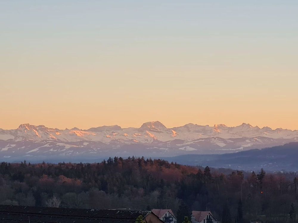 4.5-Zimmer-Neubawohnung in Nürensdorf EG1 - Aussicht