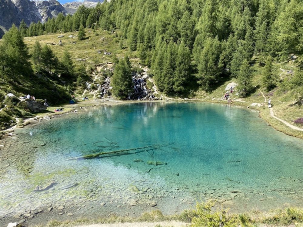 2 1/2 Zimmerwohnung in Evolène - Bild 1
