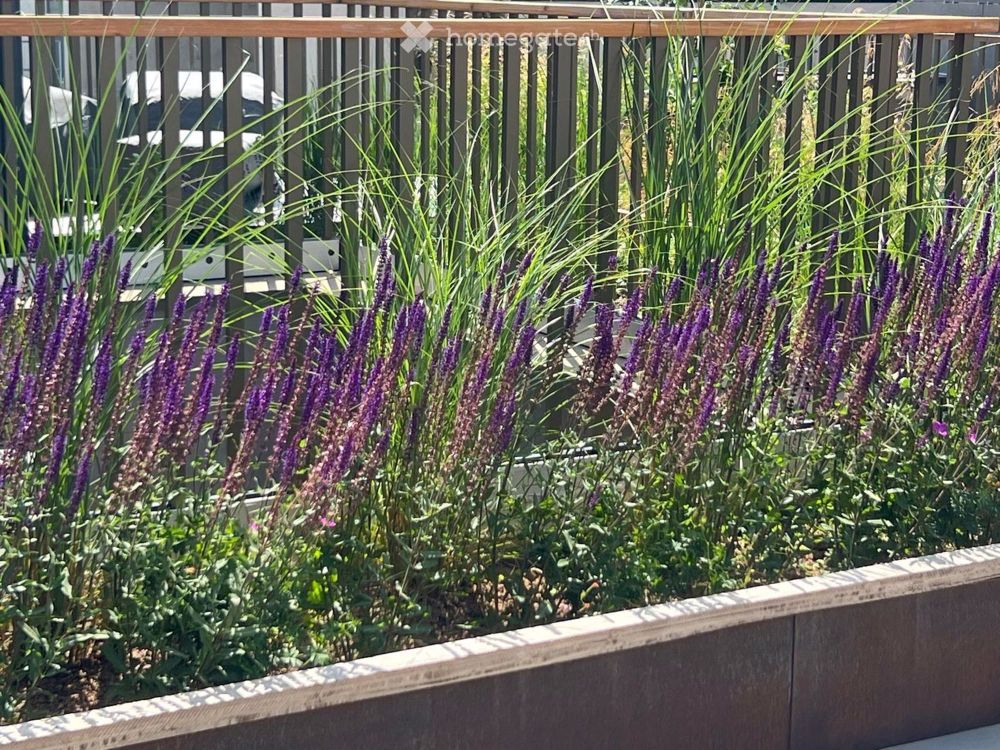 3,5 Terrassenwohnung in Tägerwilen - Bild 10