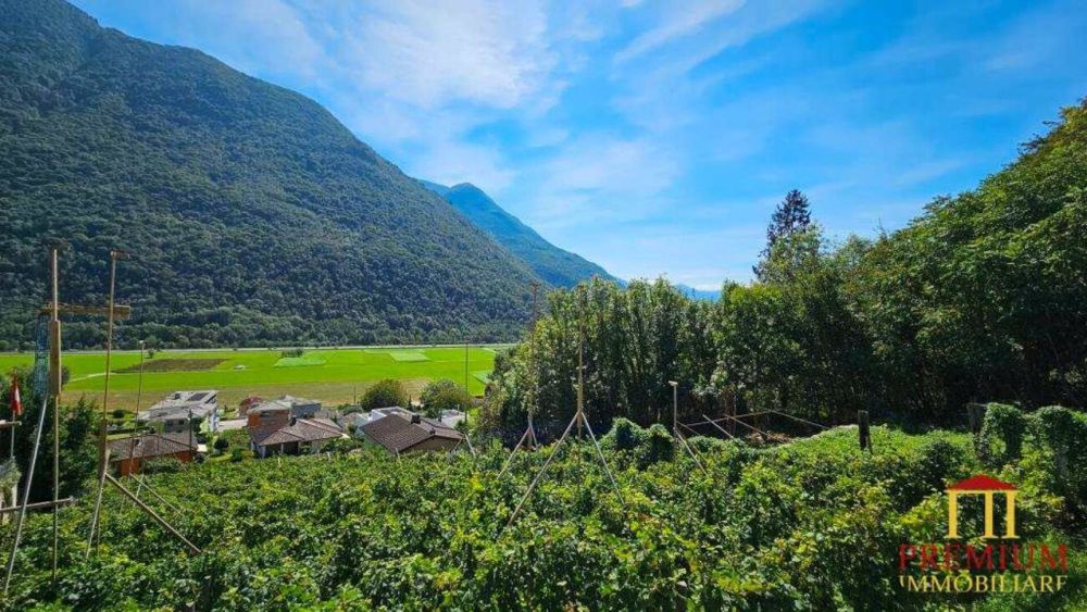 APPARTEMENTE 2.5 ZIMMER AUCH ZWEITWOHNSITZ - Bild 5