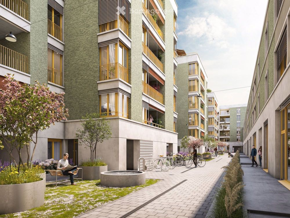 Erstvermietung: Urbane Wohnung im 1. OG mit grosszügigem Grundriss in Albisrieden - Bild 1