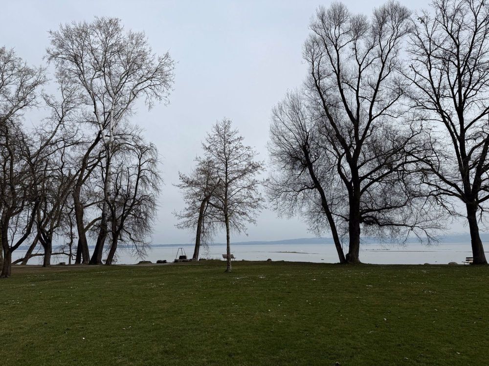 3 1/2 Zimmer-Dachwohnung - Neubau am bodensee - naturverbunden - modern - zentral - neu - Bild 3
