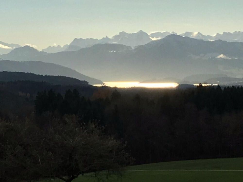 Exklusive Villa an Toplage vor den Toren Zürichs - Bild 9