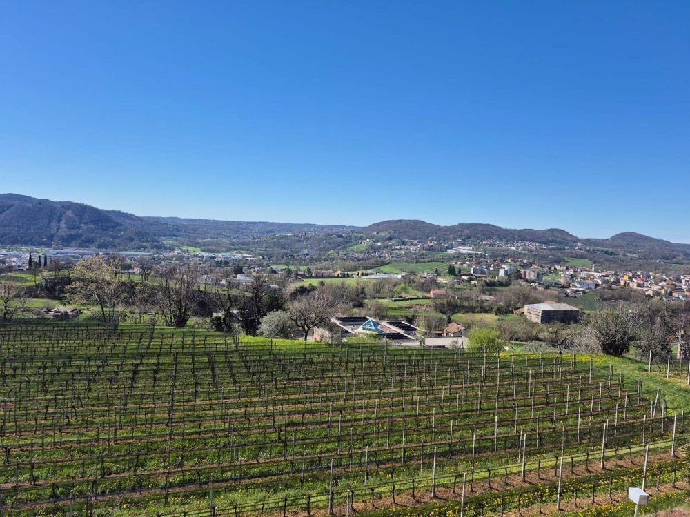 Modernes 2,5-Zimmer-Apartment in Castel San Pietro - Bild 3