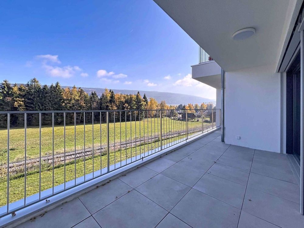 Geräumige 2.5-Zimmer-Wohnung von 67m² wie neu - Bild 3