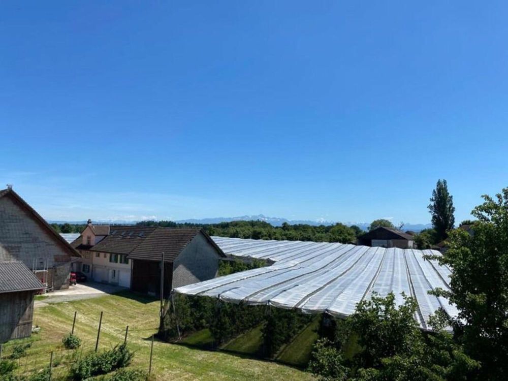 Tolle Dachwohnung in der Nähe von Kreuzlingen - Bild 13