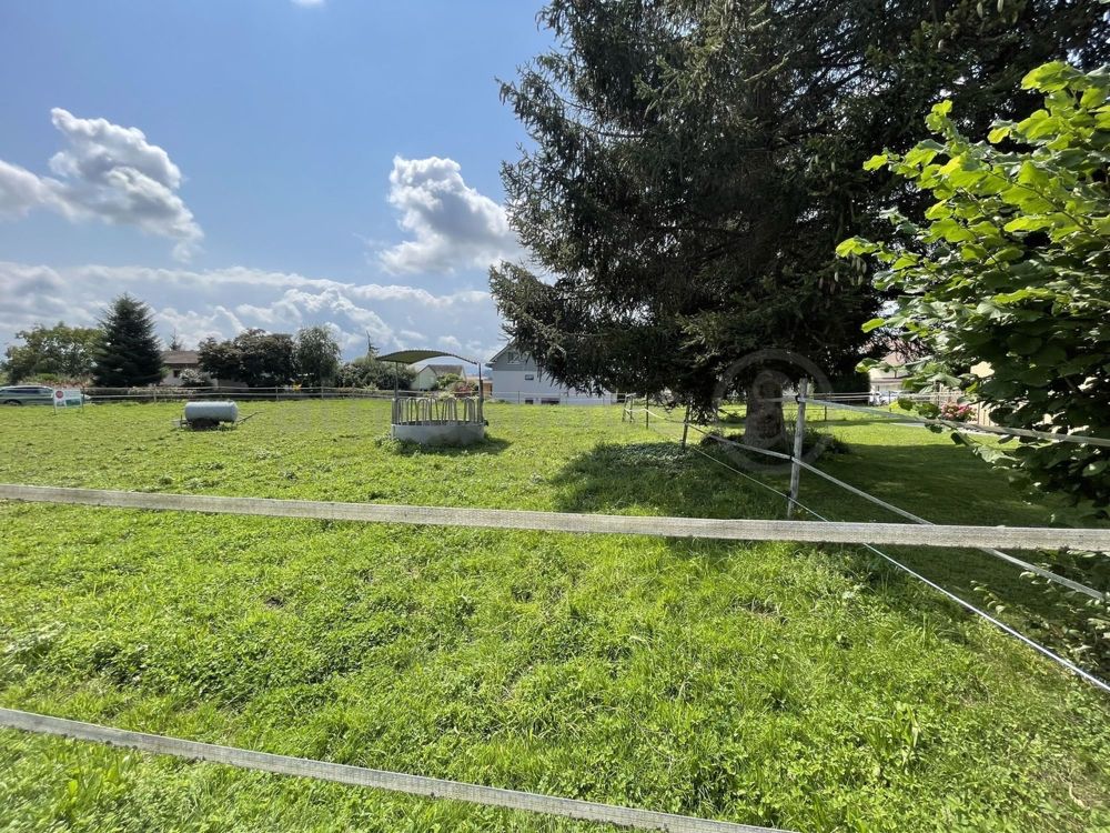 Viel Platz im Neubauprojekt EFH: modern, familiär, sonnig & ruhig - Bild 9