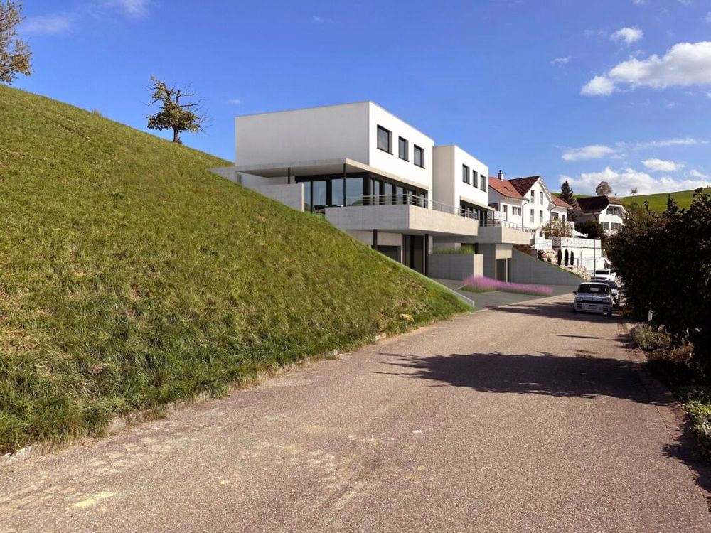 Neubau Doppeleinfamilienhaus mit Weitsicht - Bild 1