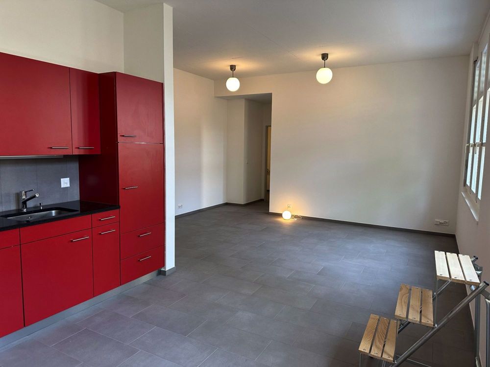 Erstbezug Neubau Loftwohnung mit Garten - Bild 1