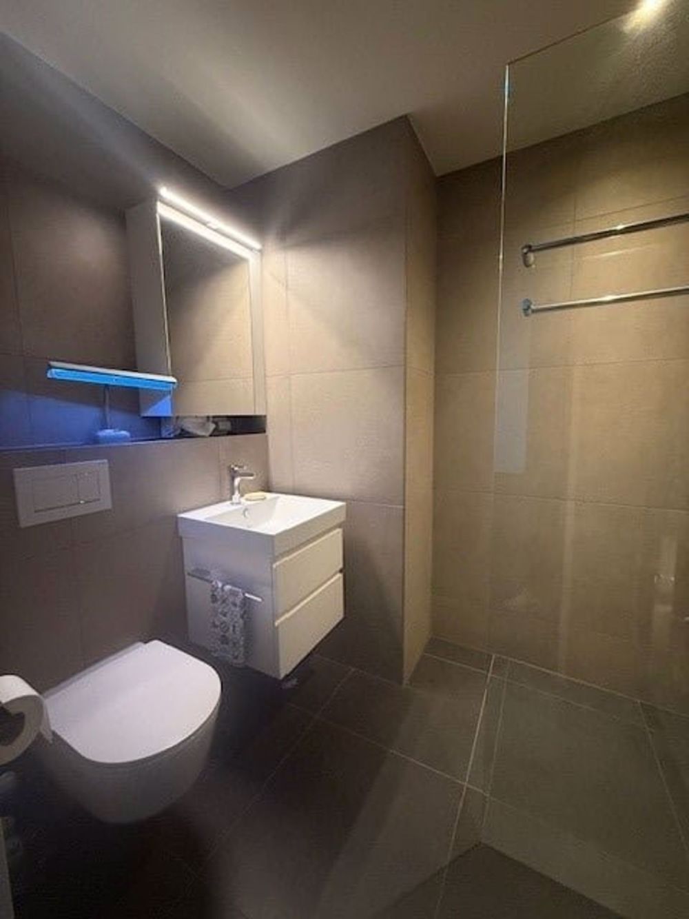 3 ½ Zimmer-Wohnung in Reinach mieten - Bild 9