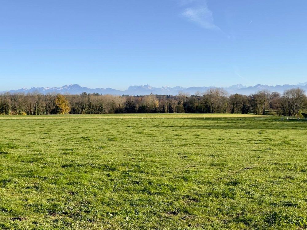 Magnifique appartement de 4.5 pièces en attique - LOT C - Bild 10