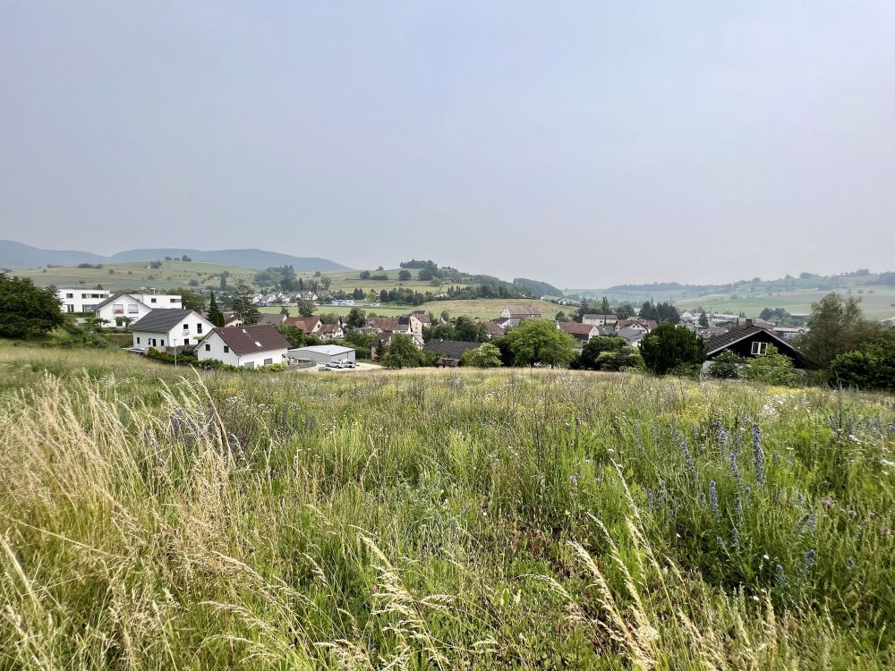 Viel Bauland und Liegenschaft mit grosser Landfläche - Bild 2