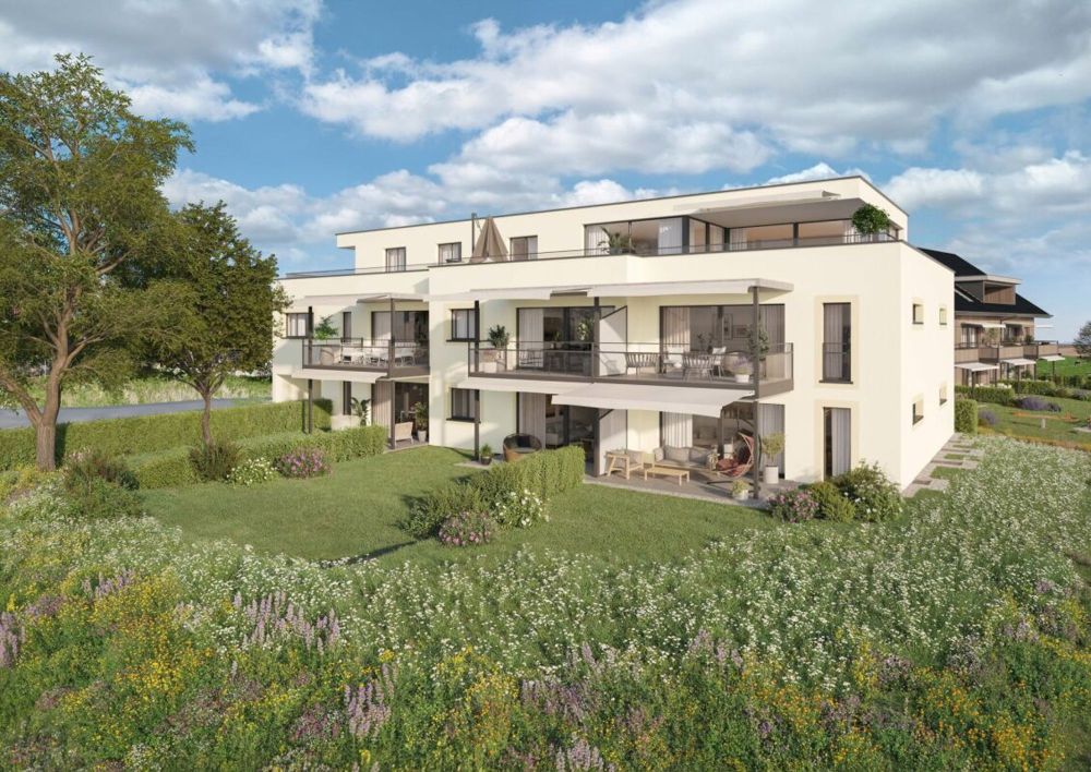 Neubauprojekt Brühlzelgli Ins - Bild 1