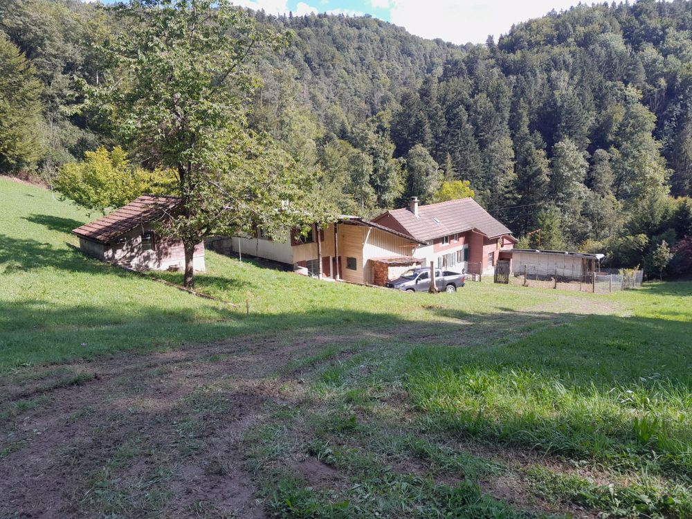 NATURJUWEL: 2'136m² Wiese, mit 1 bewilligtem Haus, 100% autark, Natur pur Waldlichtung - Bild 13