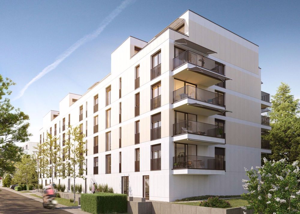 3.5 Zimmerwohnung in Zürich - Bild 4