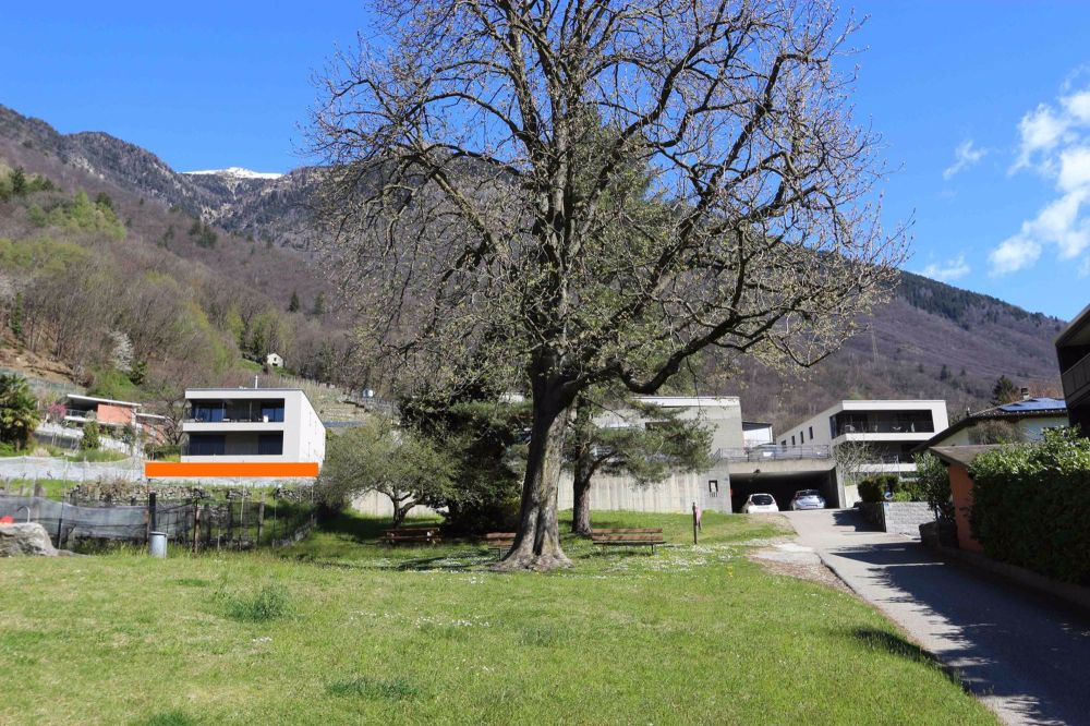 Neue 4.5 Zimmer Ferienwohnung mit Garten und Aussicht - Bild 1