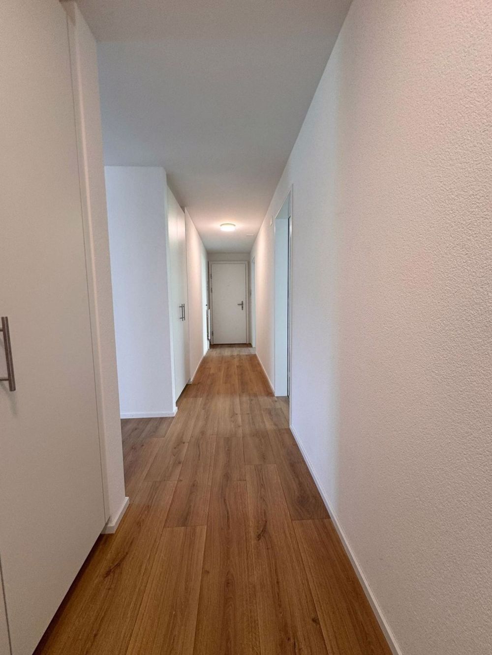 Erstvermietung nach Sanierung / 4 -Zimmerwohnung im ruhigen Quartier - Gang
