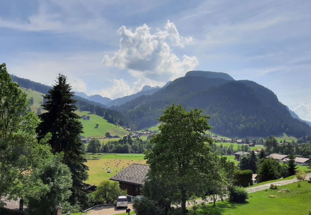Hochwertige Erdgeschosswohnung mit bester Aussicht - Bild 1