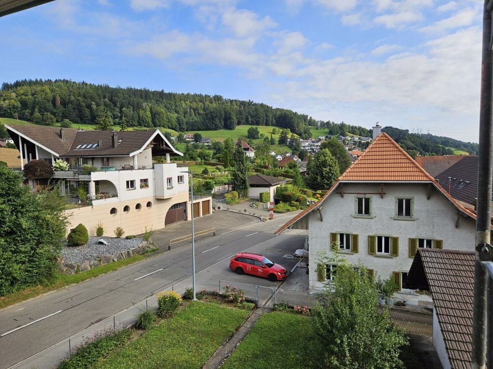3 ½ Zimmer-Wohnung in Bottenwil (Bezirk Zofingen) kaufen - Bild 9