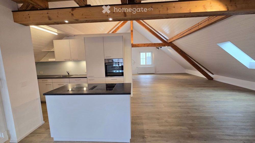 Exklusive 1-Zimmer-Loft-Wohnung in Thayngen - Neubau 2025 - Bild 13