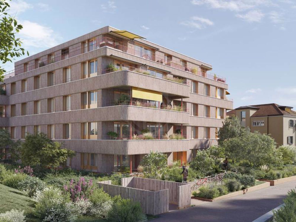 Neue 4.5-Zimmer-Wohnung im Erdgeschoss - Bild 1