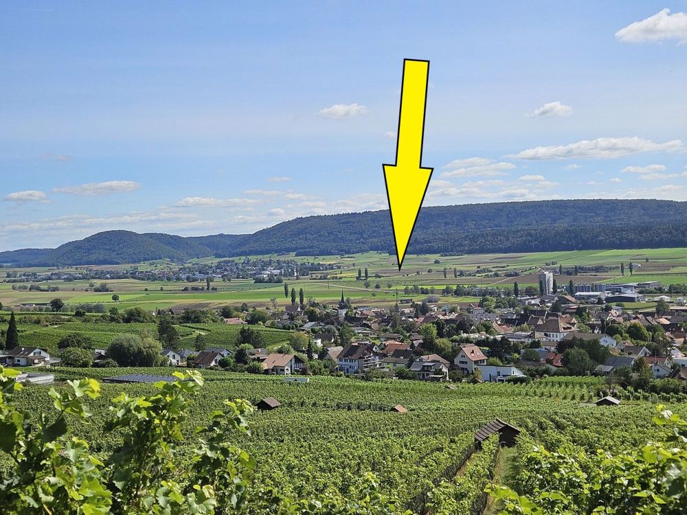 Moderne 4.5-Zimmer-Gartenwohnung in Hallau - Bild 5