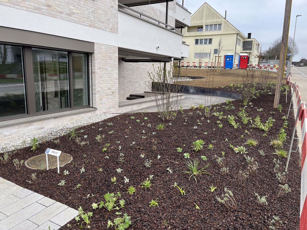 Projekt Lindengarten: zeitgemässes Wohnen an idyllischer Lage - Bild 7