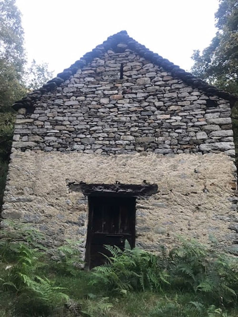 Affascinante Rustico di 1.5 Locali a Claro - Bild 5