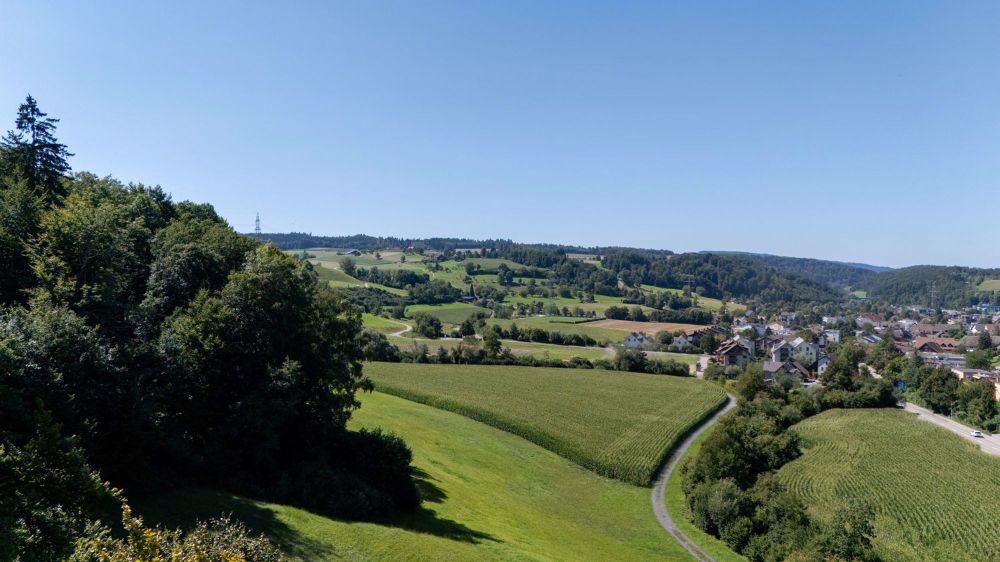 Exklusive Neubau-Duplexwohnung mit grossem Garten - Bild 5