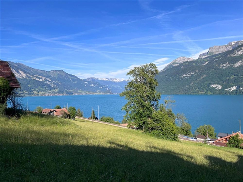VERTRAULICHE AUKTION AUF DEM BRIENZERSEE - Bild 2