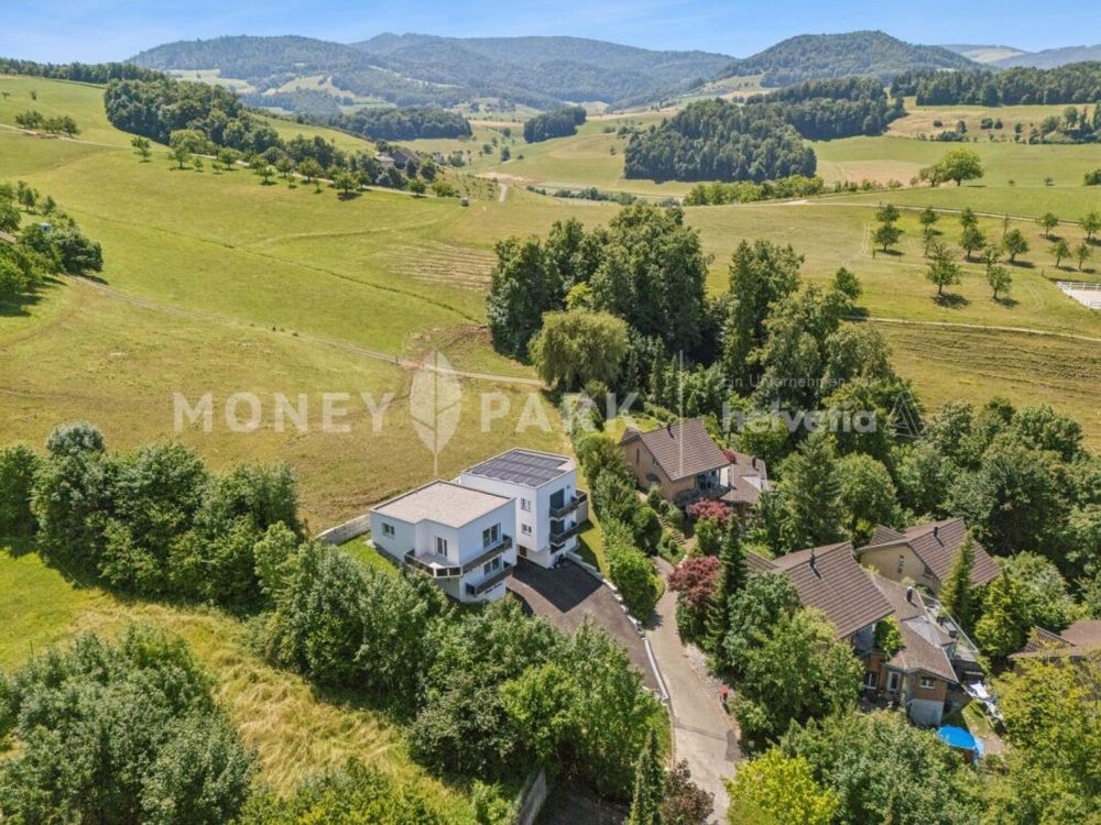Neubau 6.5-Zimmer-Einfamilienhaus an idyllischer Hanglage - Bild 13