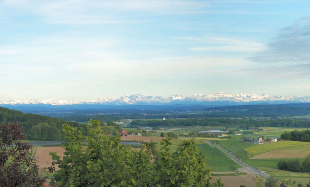 Über den Dächern von Uhwiesen, bella vista - Bild 8
