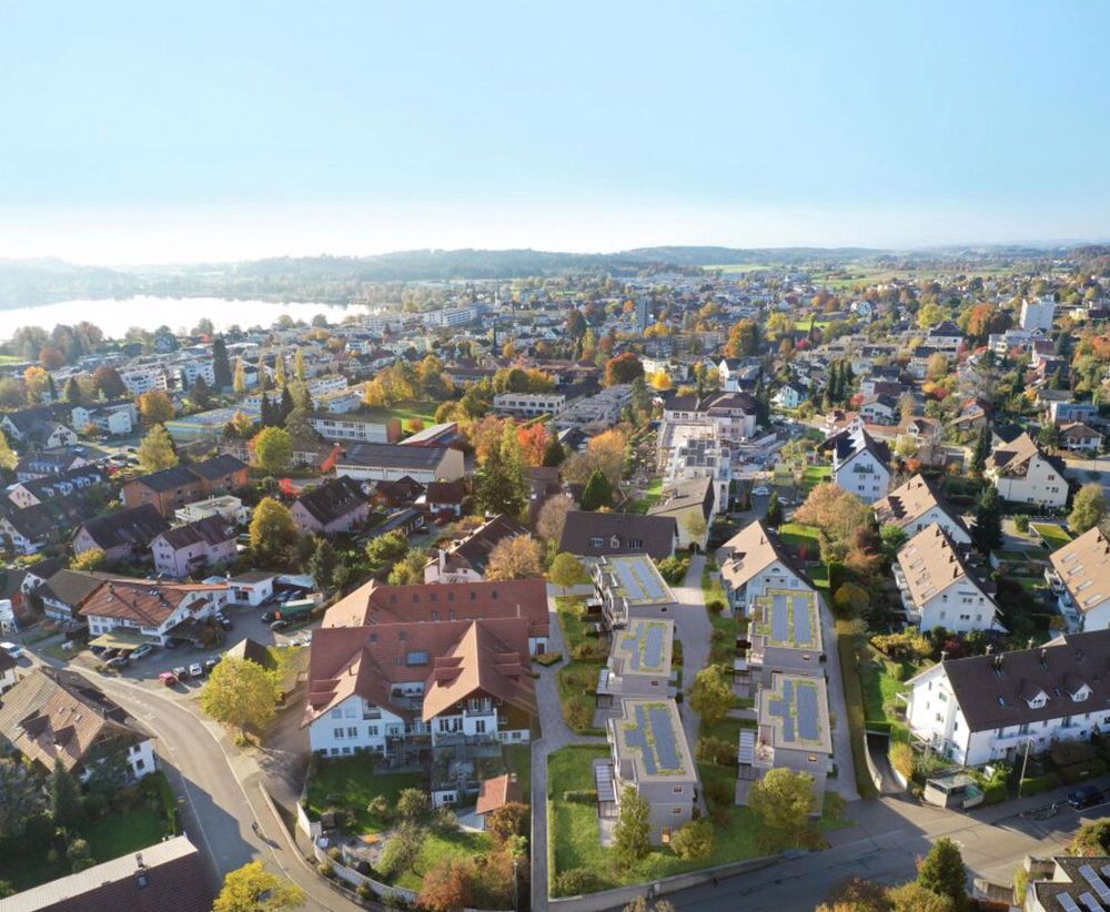 Neubauprojekt DODICI - 24C38-ADT-12EFH-Geenstrasse-Pfaeffikon_LUFT_241119.jpg