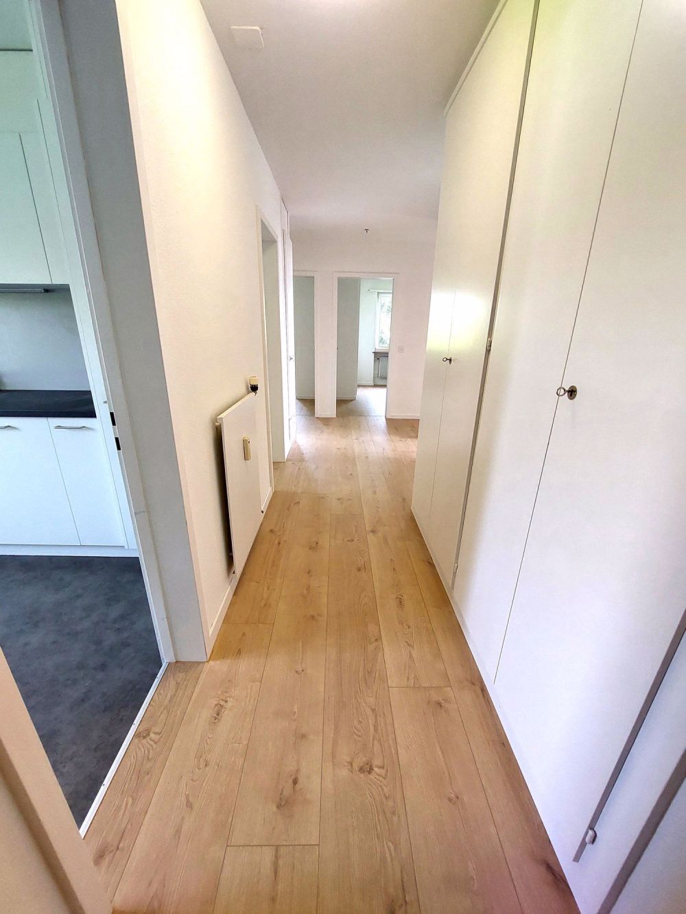 frisch sanierte 4-Zimmer-Wohnung mit sonnigem Südbalkon - Bild 5