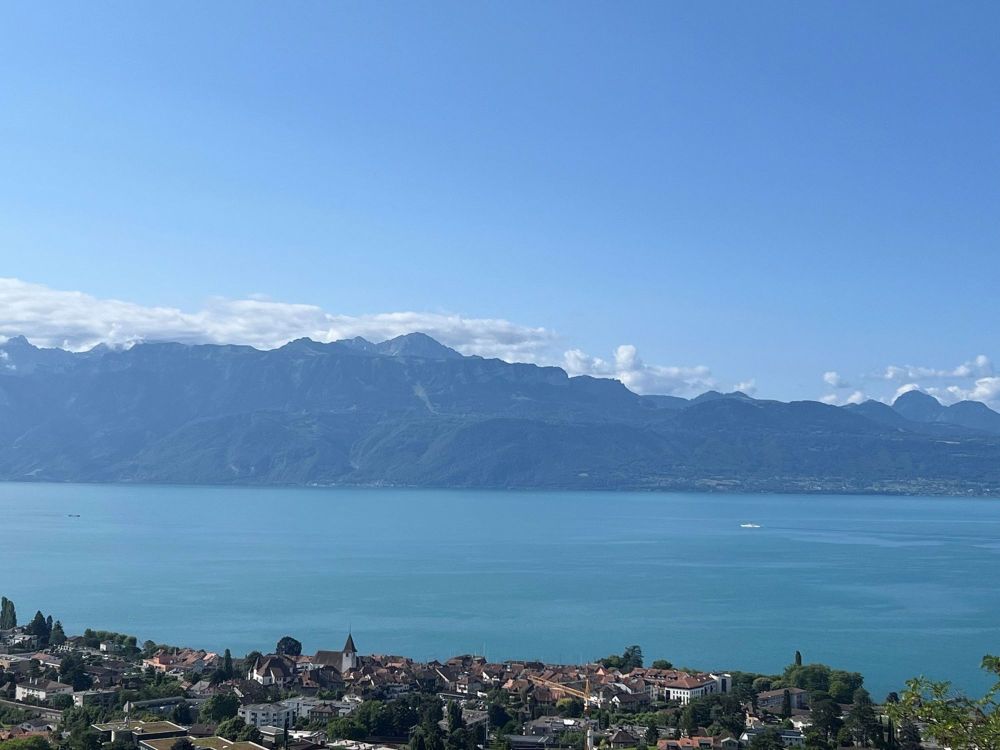 Villa in Lutry mit atemberaubendem Blick auf den See und die Berge - Bild 6