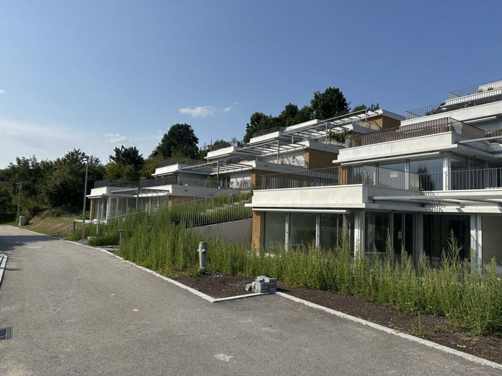 Escalera Seengen Weitsicht. Natur. Pur. - Letzte EG-Wohnung! - Bild 11