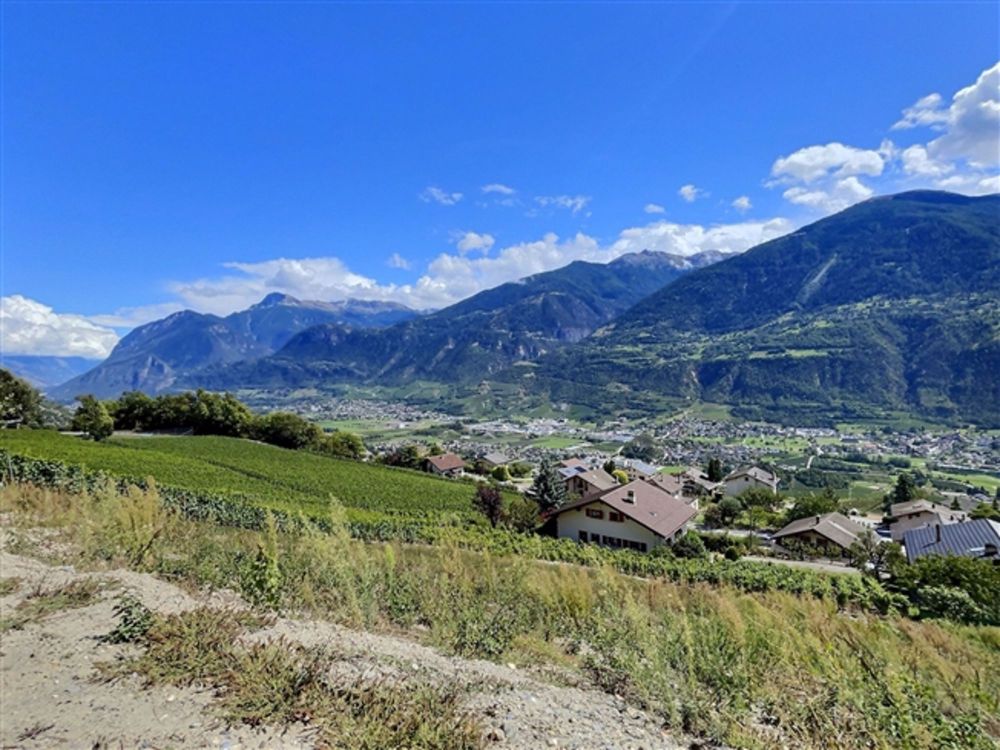 Schöne 3,5-Zimmer-Wohnung in Flanthey (Gemeinde Lens) A3 - Off-Plan-Entwicklung - Bild 3