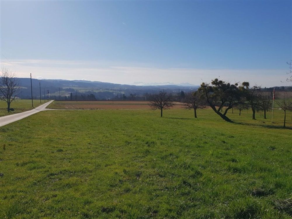 5.5 Zimmer zum Verkauf Off-Plan. Ca. 125 m2. Große Terrasse. Herrliche Lichtung auf den Alpen - Bild 2