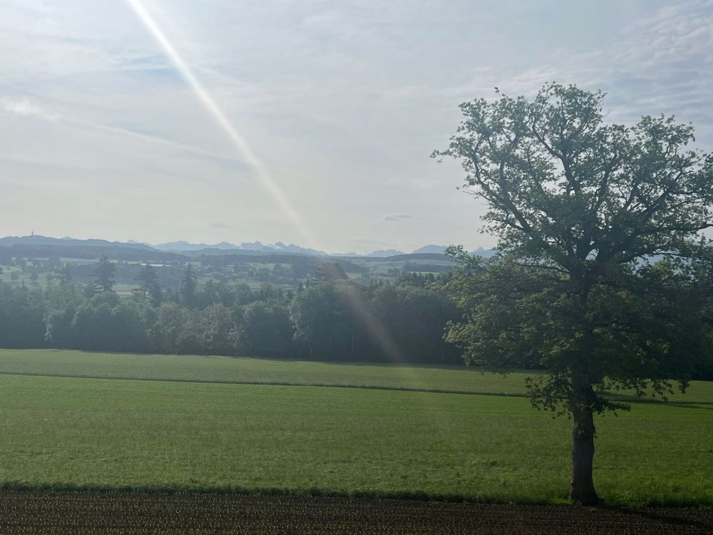 Einfamilienhäuser neu in Billens-Hennens (FR) - Bild 2