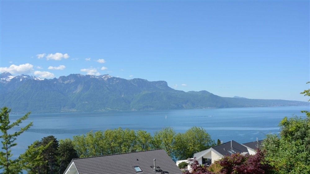 Nur wenige Schritte vom Genfer See entfernt, 3 Luxusvillen mit Panoramablick - Bild 3