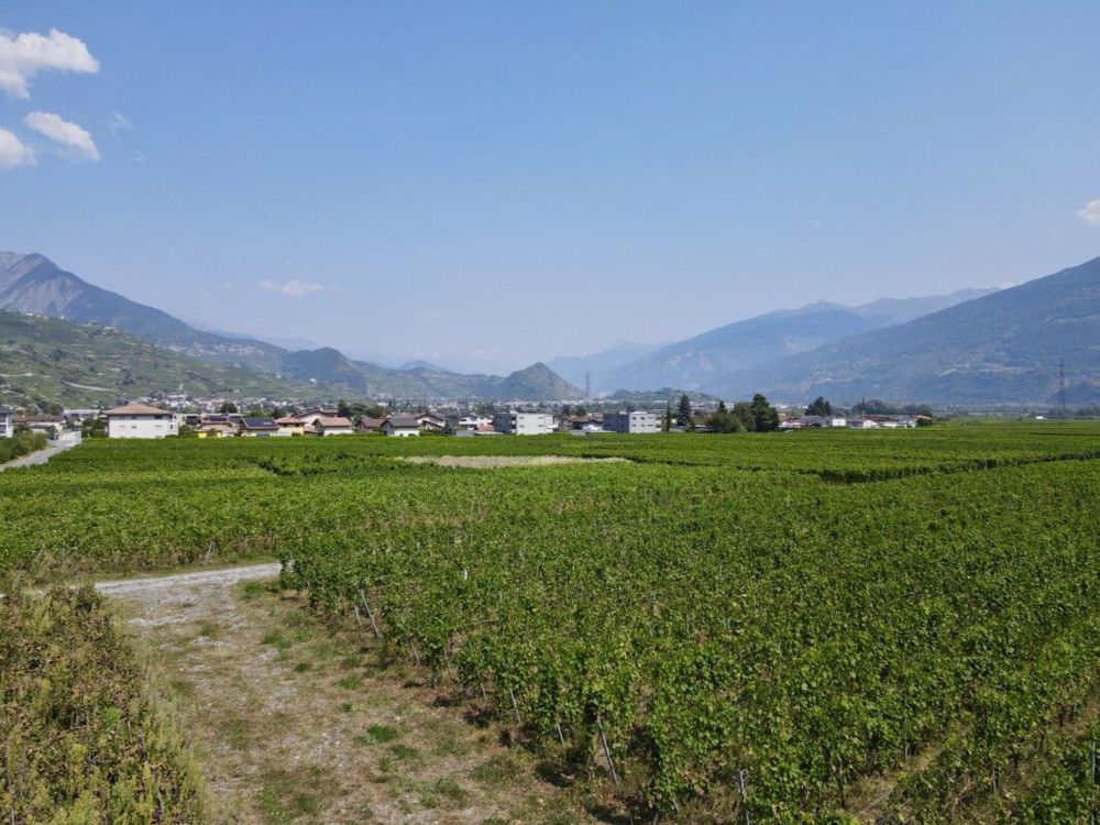 Die Amignes - 3,5 Zimmer - Bild 4