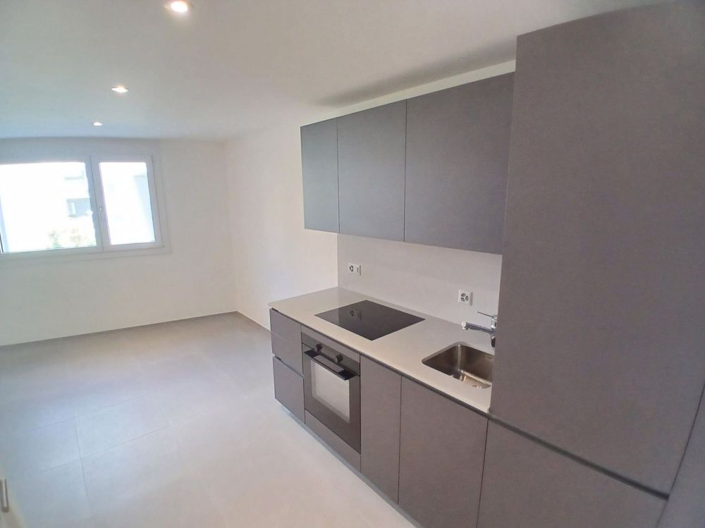 Geräumiges und neues Einzimmerapartment mit ca. 40 m² in Bellinzona - Bild 1