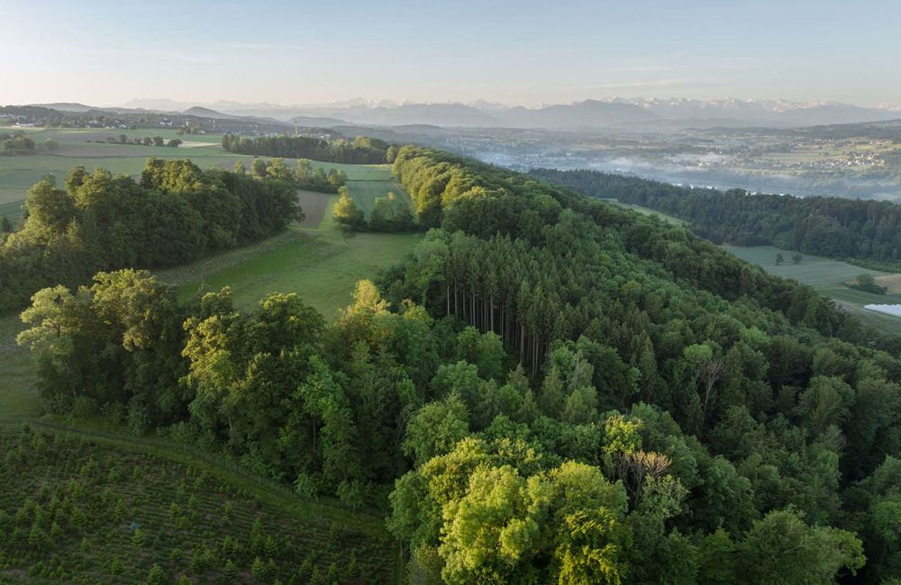 Grosszügige 3.5-Zimmer-Wohnung mit Laube und Weitblick - Bild 10