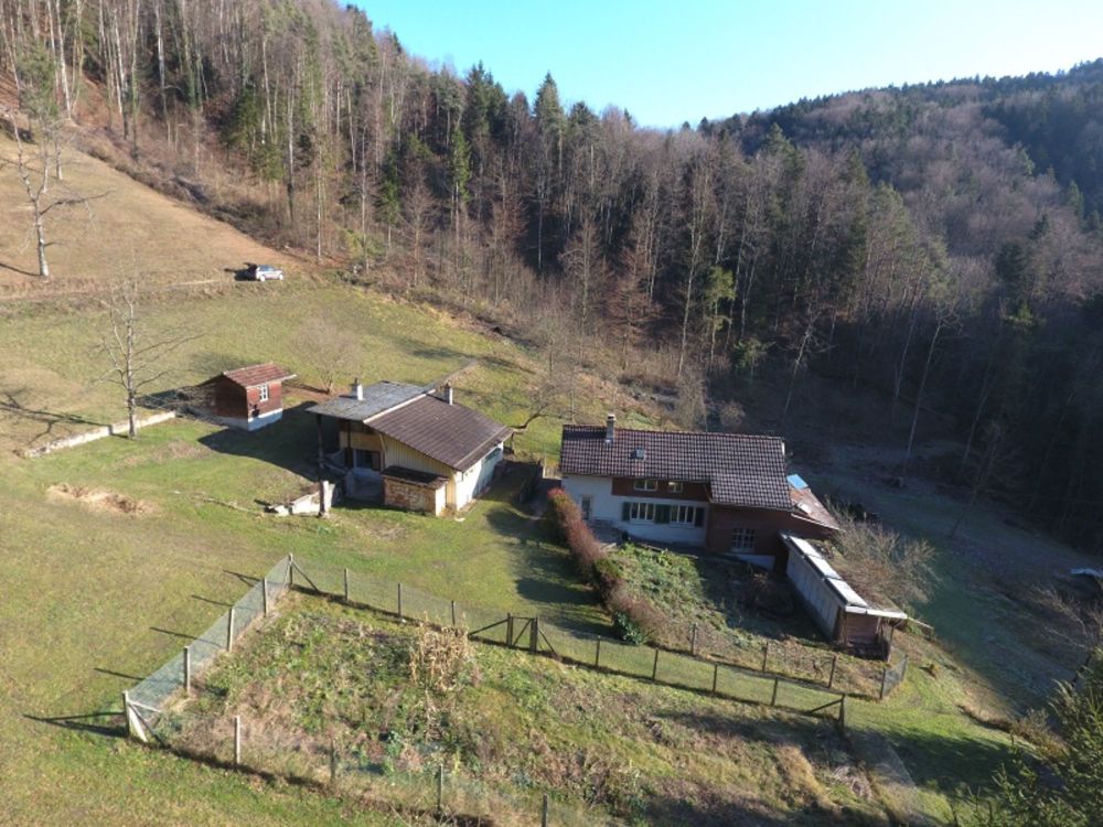 NATURJUWEL: 2'136m² Wiese, mit 1 bewilligtem Haus, 100% autark, Natur pur Waldlichtung - Bild 11