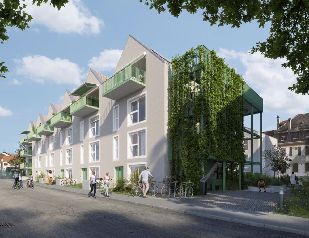 SONNENSTEIN", IHRE NEUE FRIEDENSOASE - Bild 3