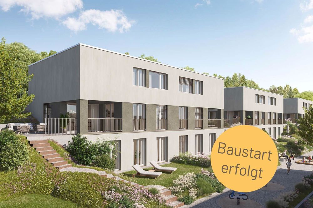 SONNHALDE - 5½-Zimmer-Einfamilienhaus mit Doppelgarage - Visualisierung Aussenbereich